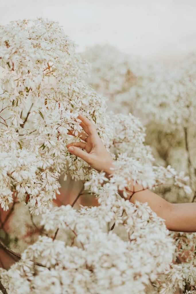 Allergies et pollen