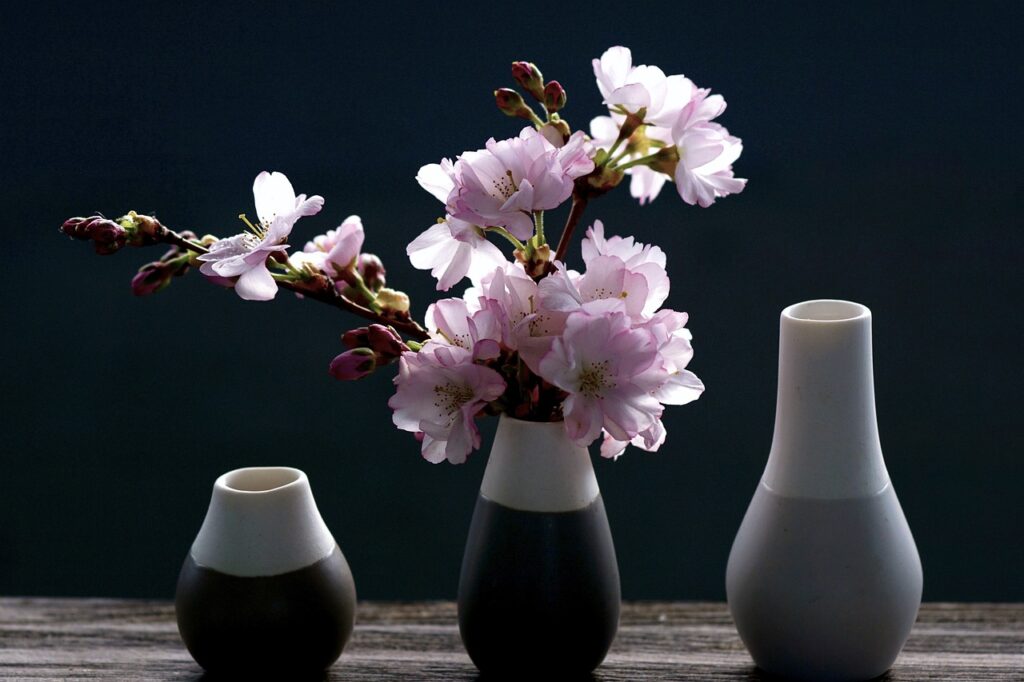 Cherry Blossom
