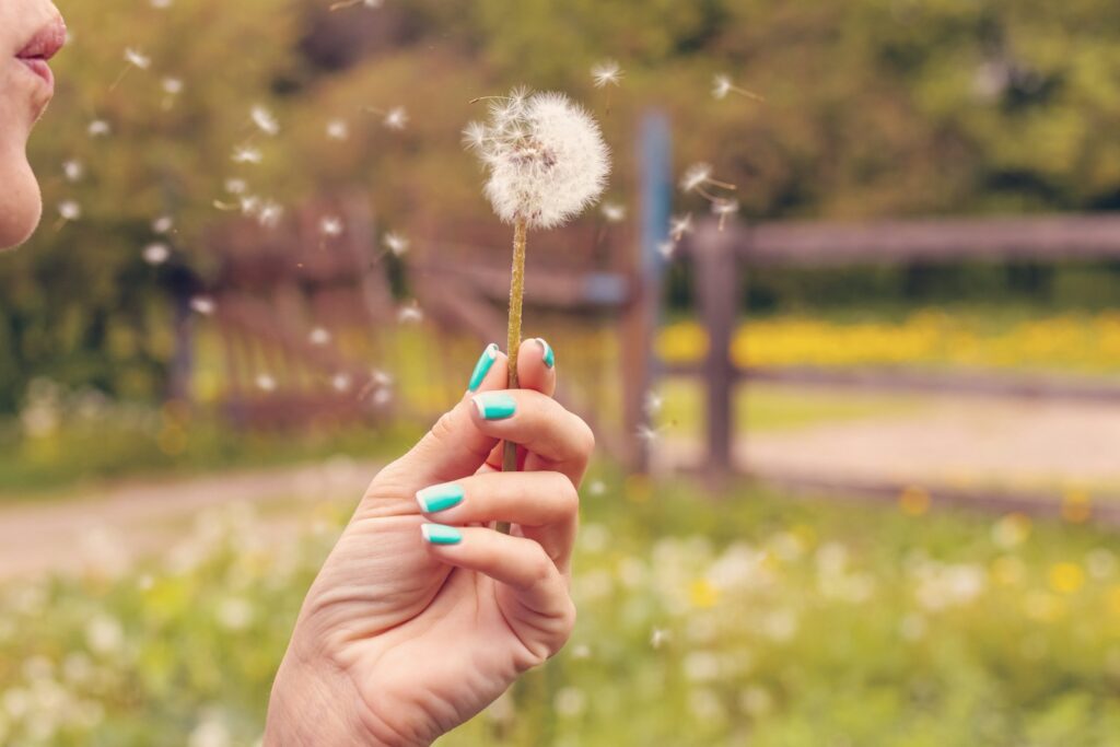 Allergies et pollen